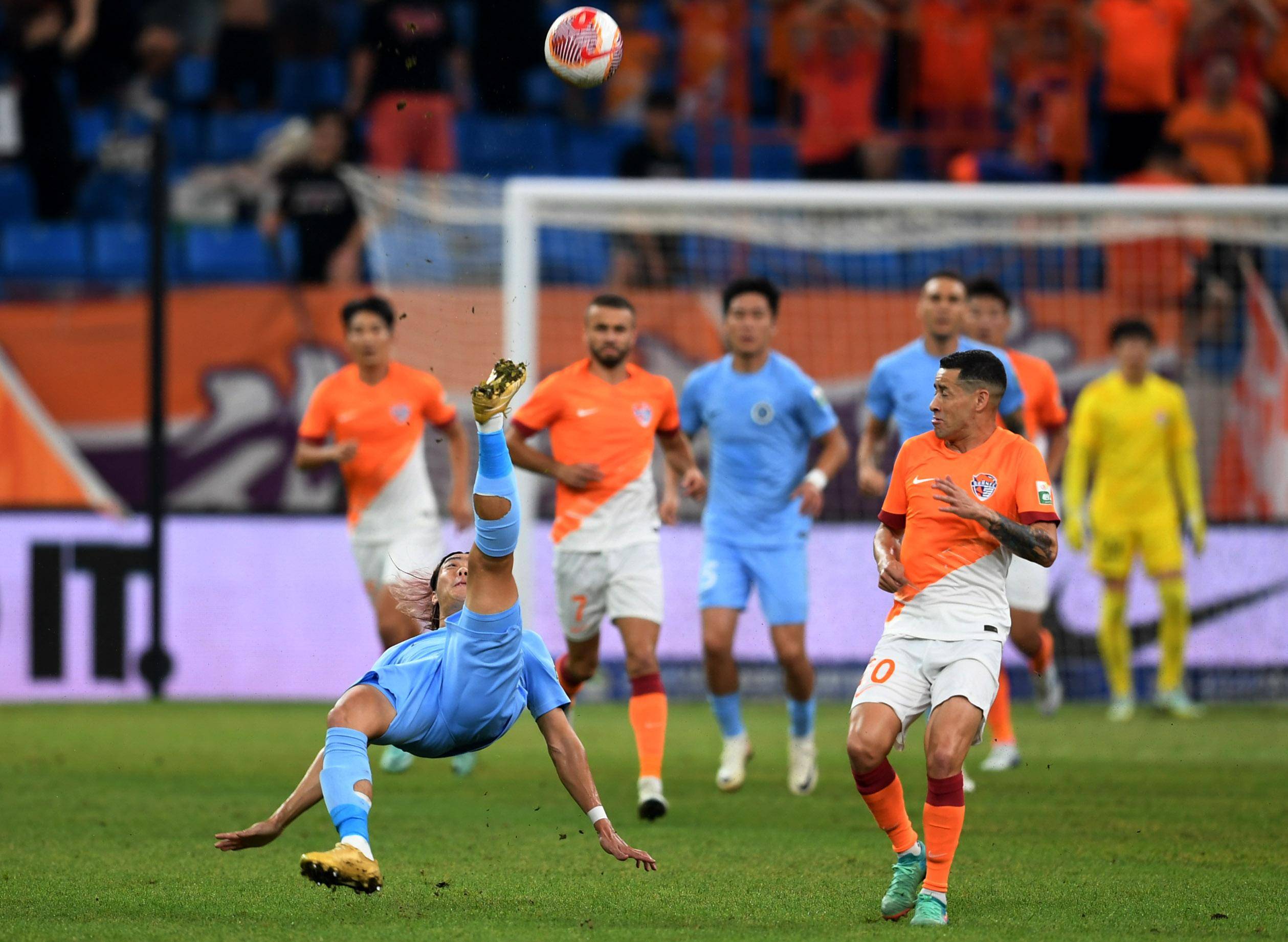 培养与发展 培养与发展