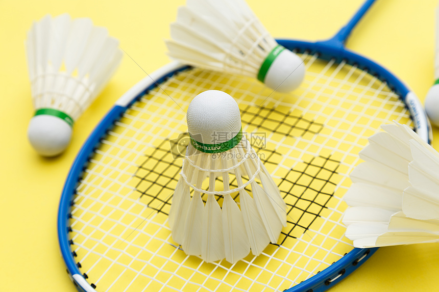 太吾绘卷 太吾绘卷