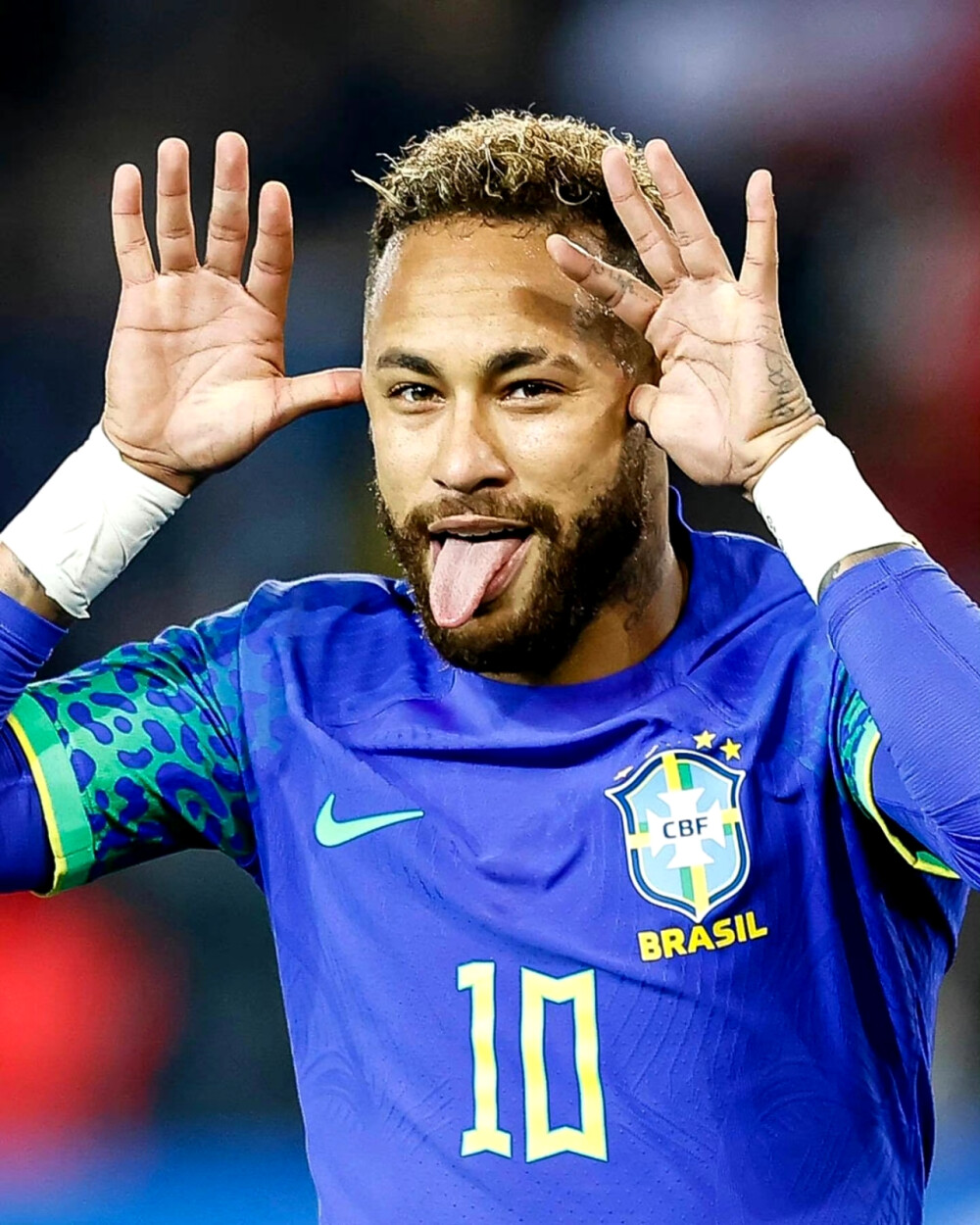 保亚区目标 保亚区目标