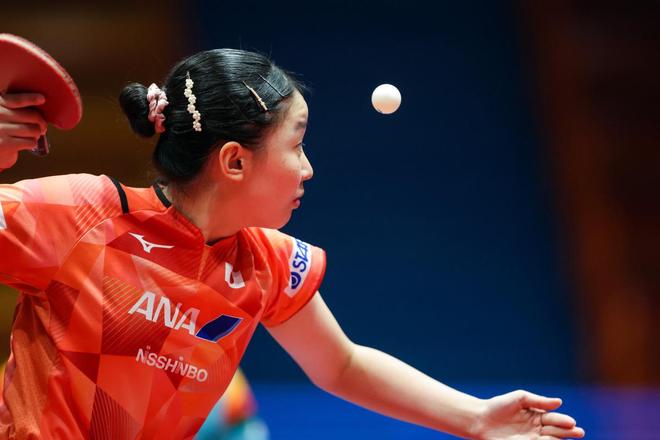 可概括为三 可概括为三